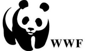 Ти підтримаєш саламандру чи чорного лелеку?  WWF-Україна закликає  зробити новорічний подарунок природі 0